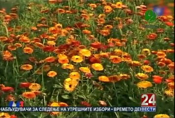 Второ мислење 25-04-2014