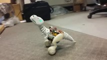 Boomer The Toy Robot Dinosaur Is Tons Of Fun