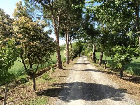Agriturismo in chianti e bed breakfast a montevarchi Tel.338/3237591