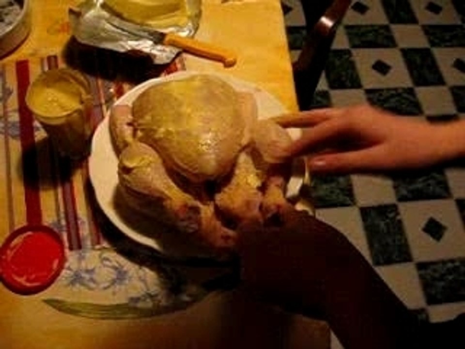 chicken fucking