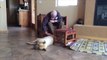 Un papy Alzheimer retrouve un peu de mémoire en voyant son chien. Magique...