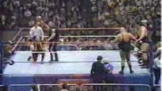 WWF Survivor Series 1987 (11261987)   video dailymotion