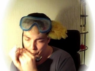 Harmonica - How High The Moon