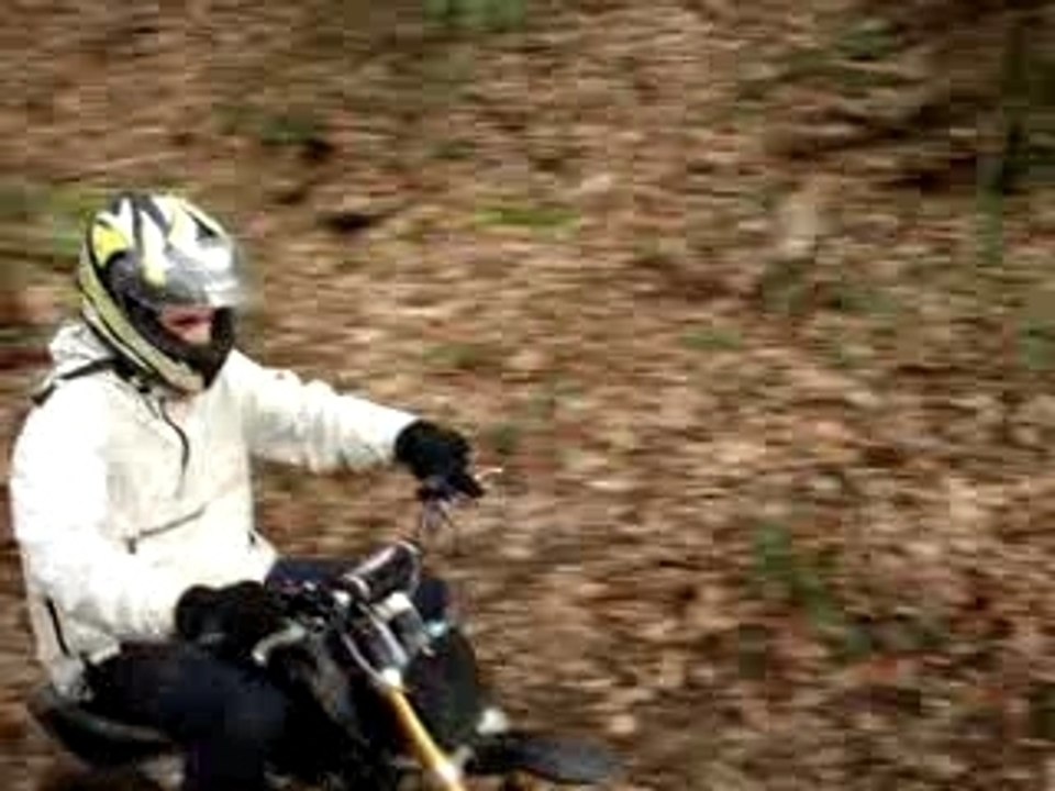 dirttox dans les bois