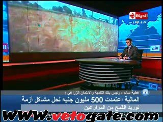 بالفيديو..التنمية والإئتمان: 500 مليون جنية لتوريد 18 ألف طن قمح