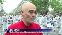 Paris: manifestation contre la recherche animale en laboratoires