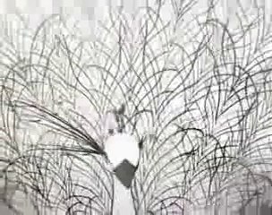 Yalan- Altan İlhan Arslan