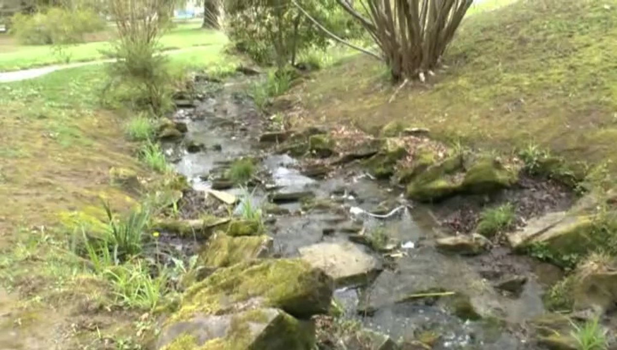 LES PROMENADES DE MICHOU W-D.D. - 30 MARS 2014 - LE PARC BEAUMONT A L'ENVERS - LE JARDIN PYRENEEN - L'HOTEL BEAUMONT.
