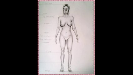 Learn How to Draw a Woman's Body Step by Step.Part / 3