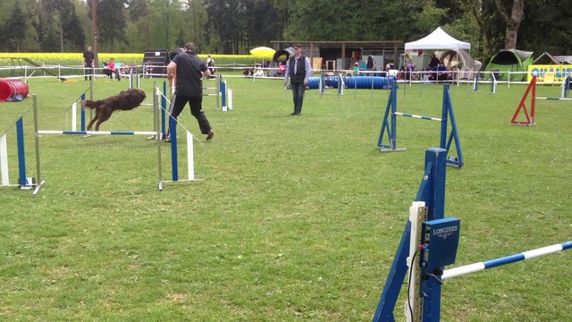 Gun jumping Boudevilliers 2014