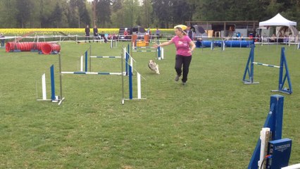 Dixie jumping Boudevilliers 2014