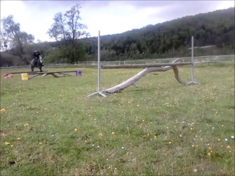 Séance de saut avec urigo et dressage avec kiss