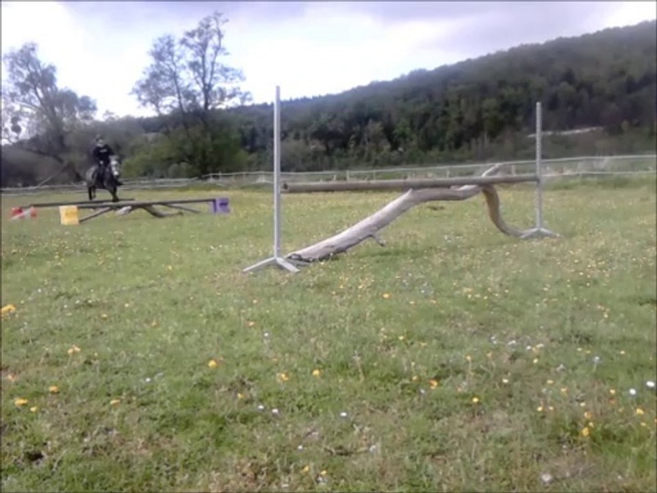 Séance de saut avec urigo et dressage avec kiss