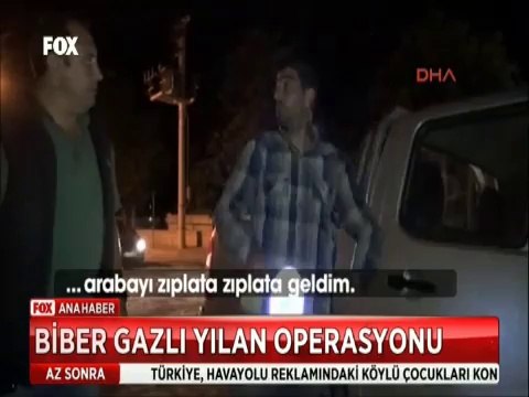 Kamyonete giren yılana biber gazlı operasyon