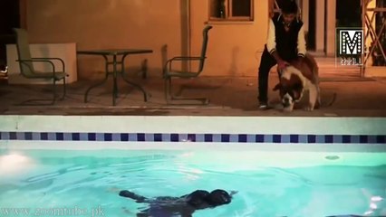 Meharma By Hamza Malik 2014 Official Full Video 720P