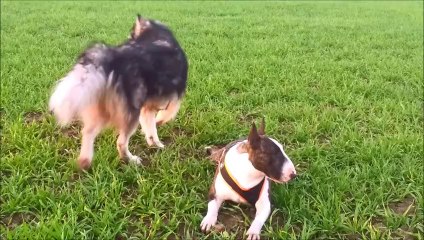 Dernière balade avant dodo :)