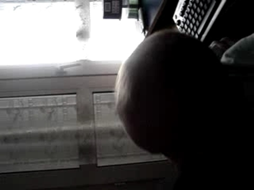 Mon Gros Qui Rigole !