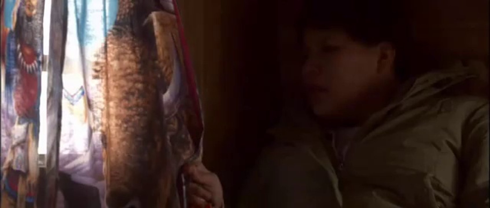 Frozen River - Movie Trailer