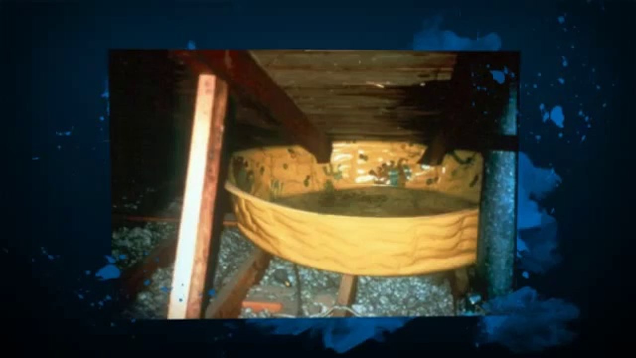 Orlando Home Inspectors | A.C.F. Home Inspections Inc.