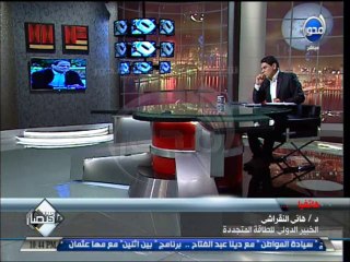 #باختصار - الدكتور هاني النقراشي يناقش المشير السيسي سبل إستغلال الطاقة المتجددة