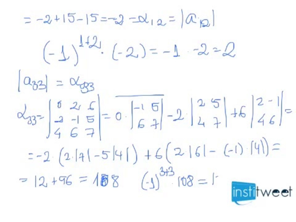 Hallar menor complementario y adjunto. Ejemplo resuelto