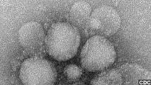 Egypt Confirms First Case of Deadly MERS Virus