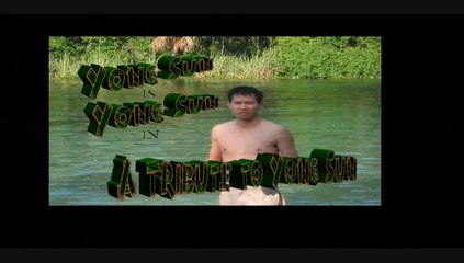 Tribute to Yong Sun