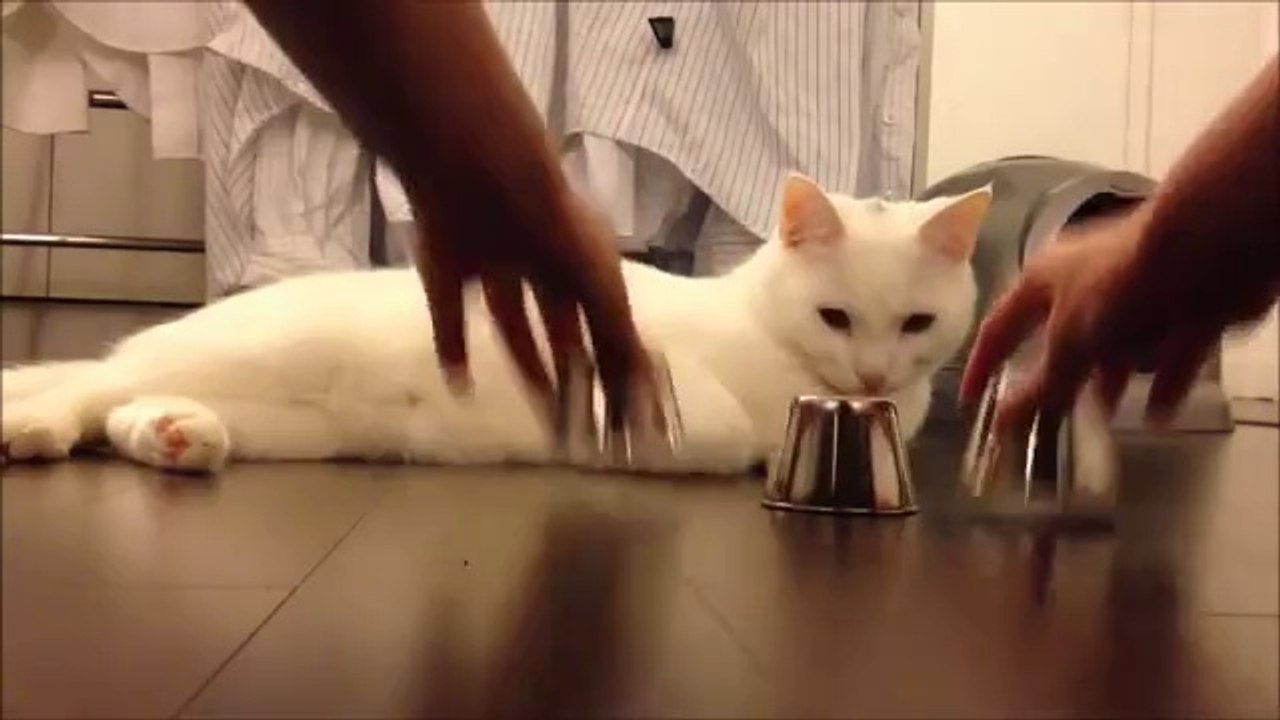 Thiên hạ đệ nhất Mều