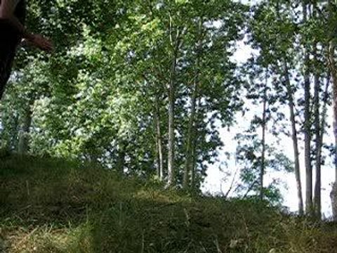 L oiseau sans plumes