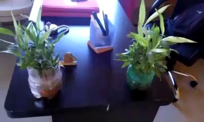 WareHouse Packers and Movers pune@http://xlmoversandpackerspune.com/packers_and_movers_hadapsar_pune.php