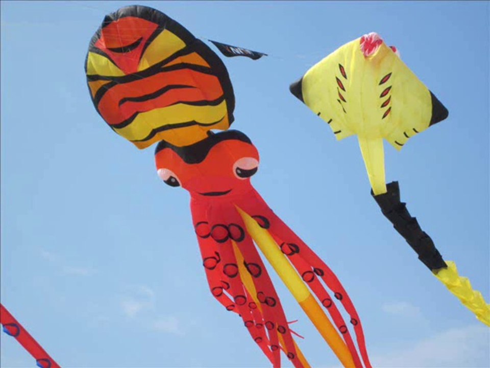 Cerfs-volants dans le Pas de Calais