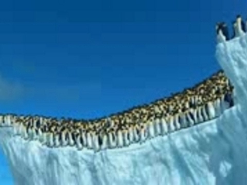 OUT_happy feet dvdrip2