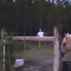 Pauvre mec, je suis plié ! mdddr