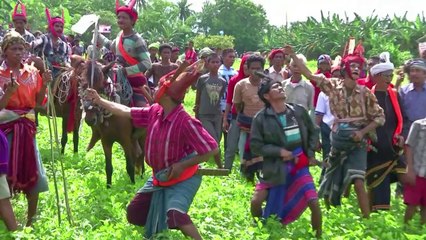 مبارزات فروسية تعود لاكثر من الف سنة على جزيرة اندونيسية