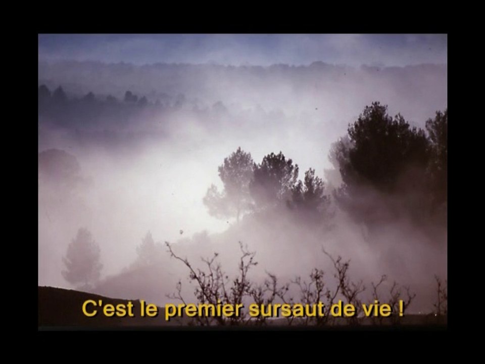 Charles de Foucauld: de la tristesse à la joie (jeunesse)