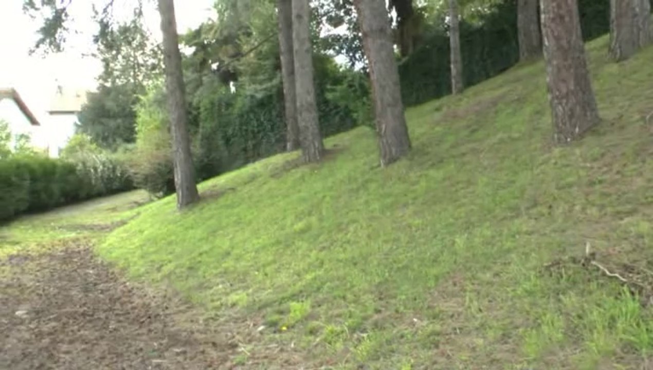 LES W-D.D. MICHOU FRIDAY NEWS - 27-28 MARS 2014 - RESUME DES TRAVEAUX DU STADE NAUTIQUE.