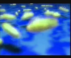 A Scientific Blow To Darwinism -