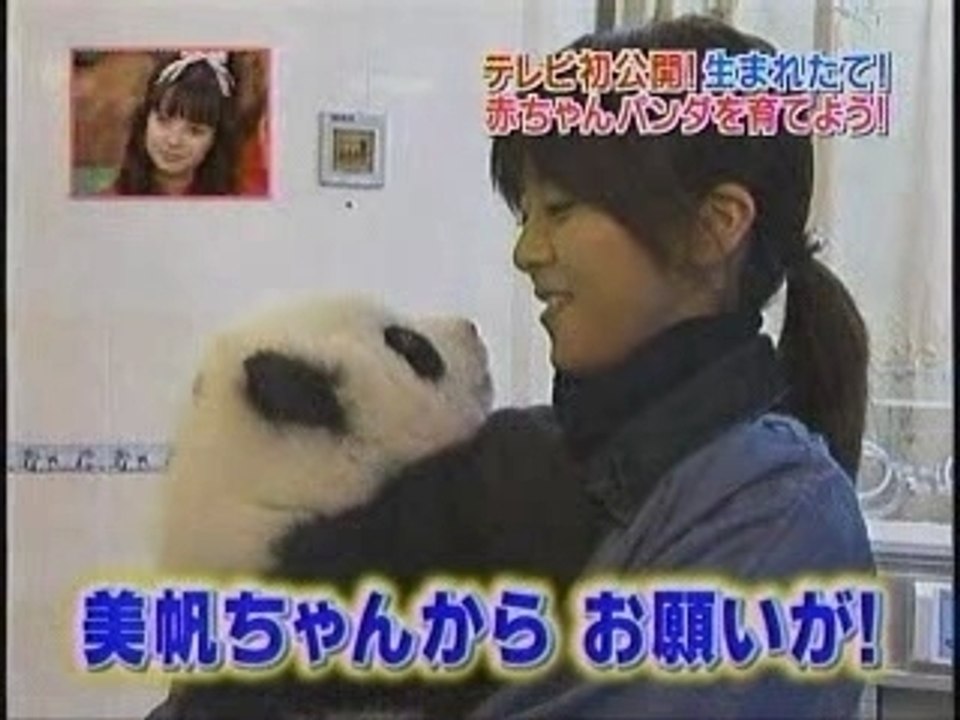 miho&panda full