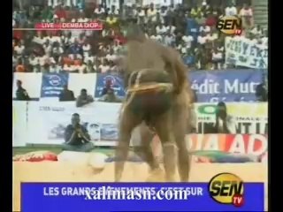 yekini jr terrasse modou anta