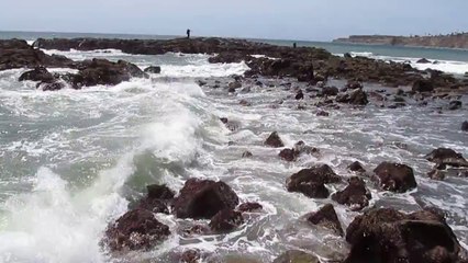 Abalone Cove, Rancho Palos Verdes, CA 4-26-14 (1)