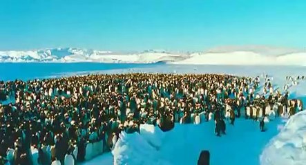 March of the Penguins - Movie Trailer