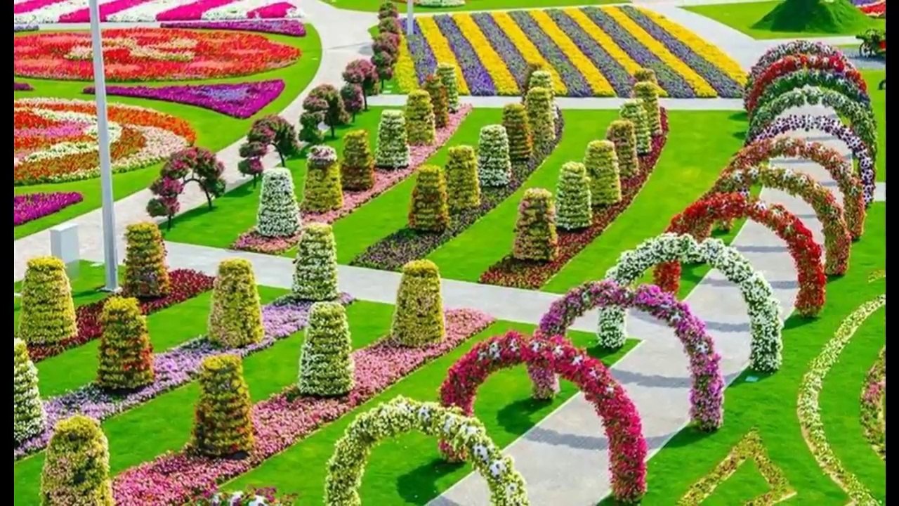 Dubai miracle garden... ...