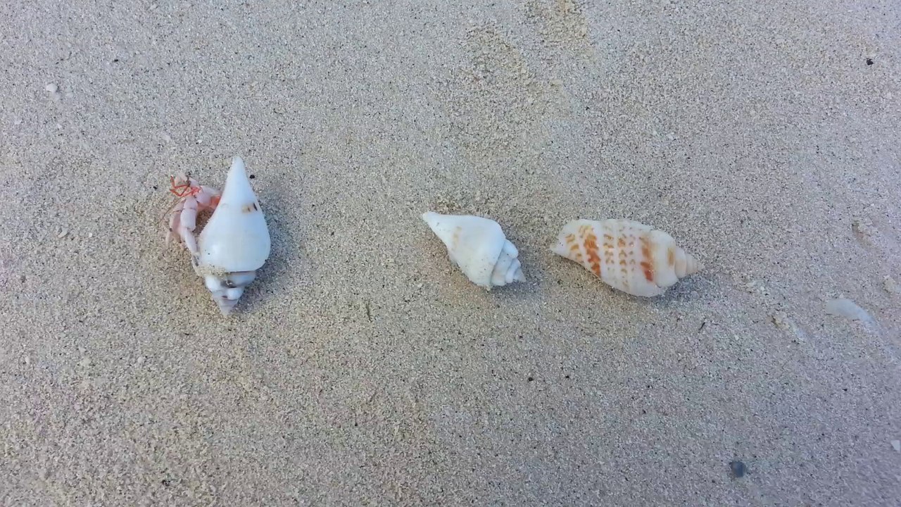 20140412_104506