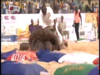 Yékini Junior héroïque face à Modou Anta et fini par un joli mboot