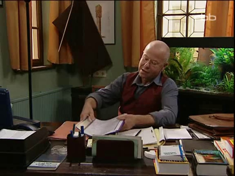 Schloss Einstein Folge 09