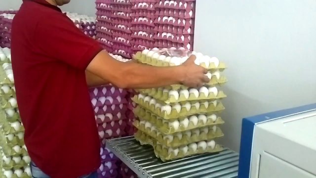 KOLAŞALİ KARDEŞLER AMBALAJ YARI OTOMATİK SHRİNK