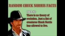 The Funniest Chuck Norris Jokes