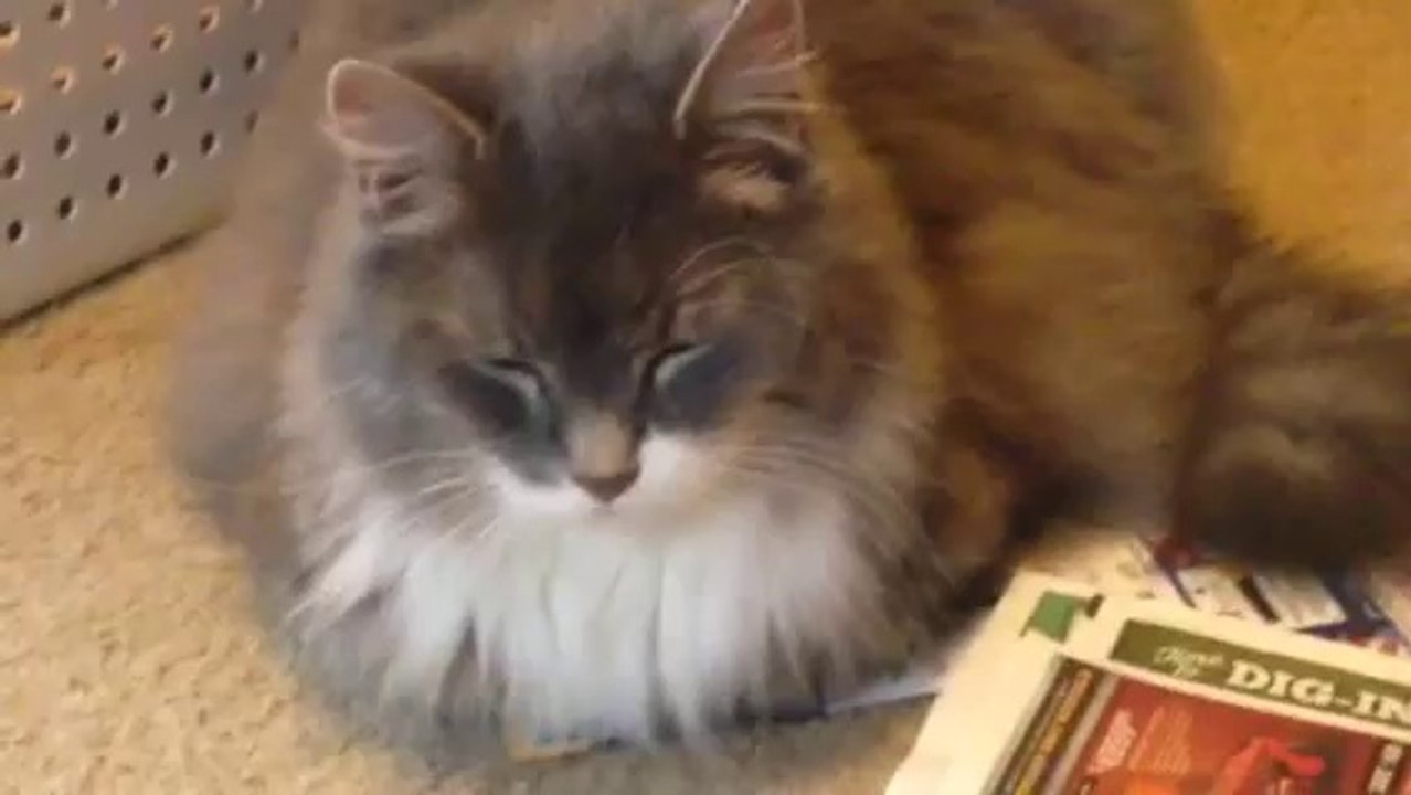 Mick falling asleep