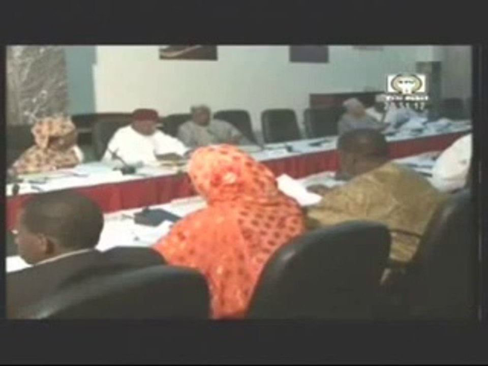 Télé Sahel JT 25-04-2014  Nigeriens de Belgique