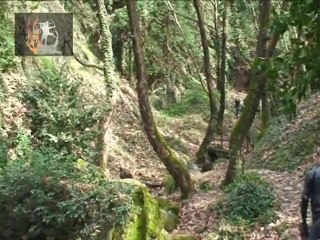 1/3/2014 LEMS 3 days at Volos-Pilio